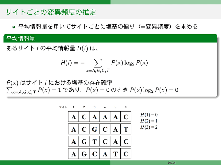 スライド 12